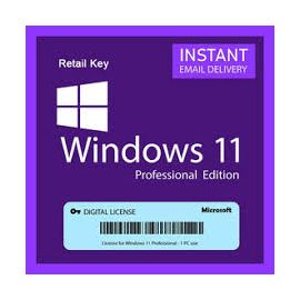 Microsoft Windows 11 Professional 64 BIT Key Only