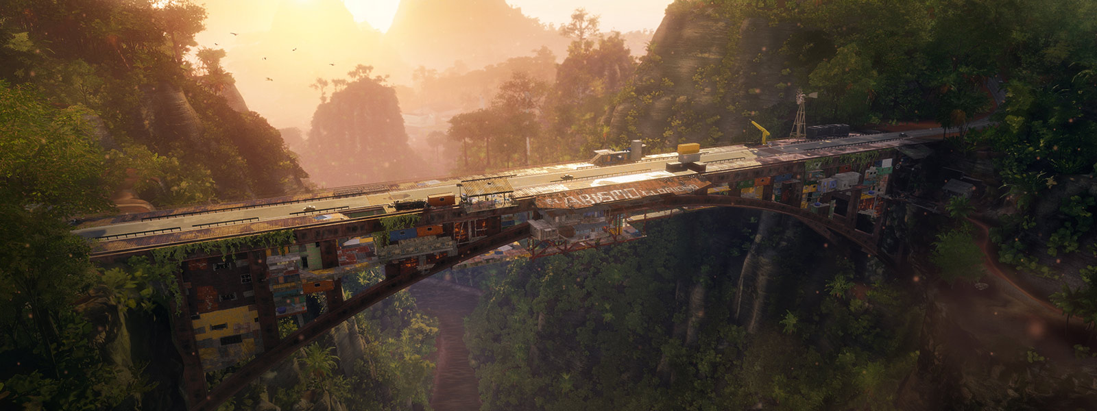 Large makeshift bridge connects rainforests