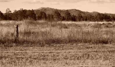 COOLPIX P1000 photo of a landscape in sepia tone