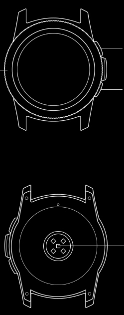 Line drawing of front and back view of Galaxy Watch small body section.