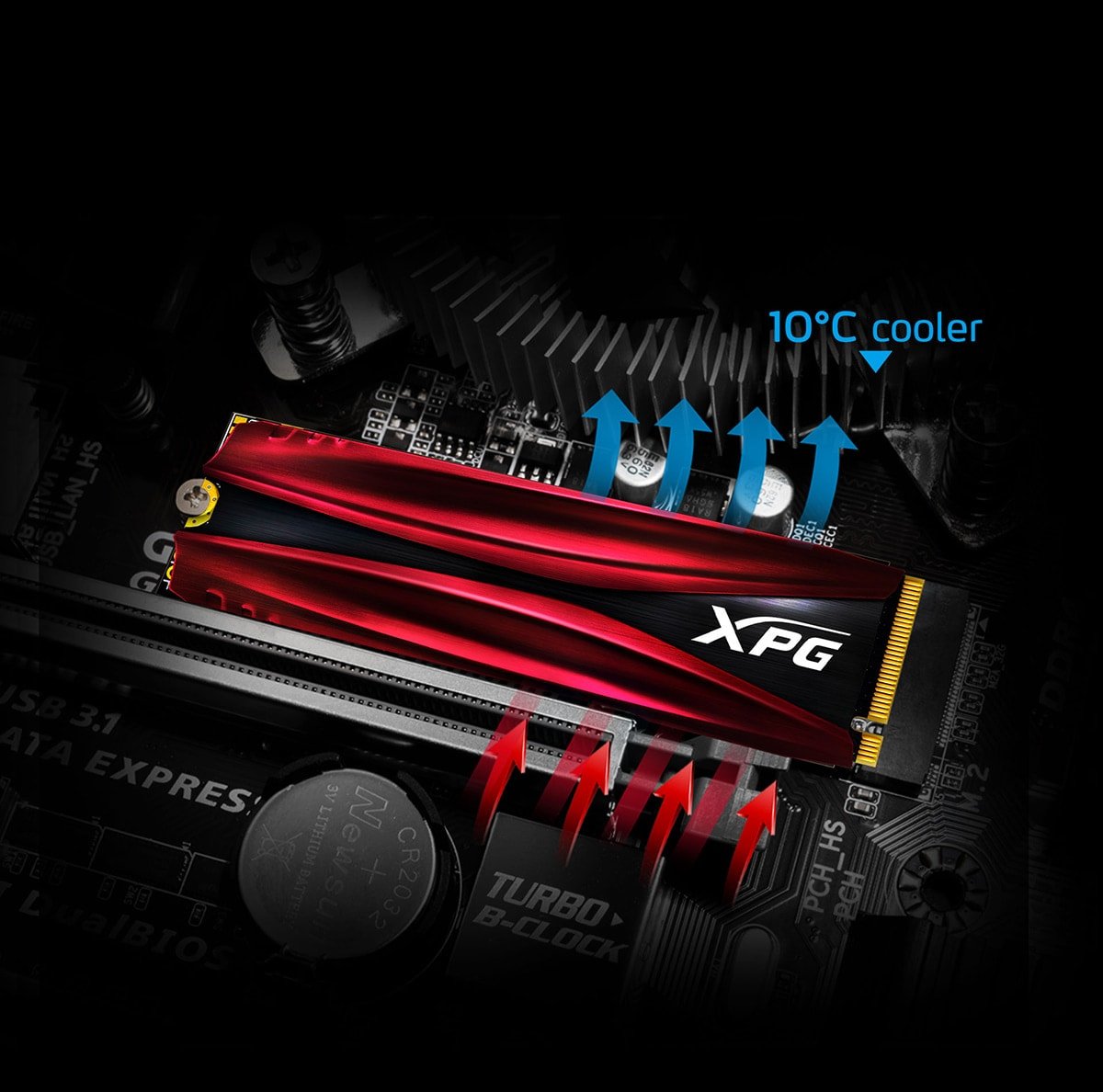 Adata XPG GAMMIX S11 Pro 2TB PCIe Gen3x4 M.2 2280 SSD Price in 
